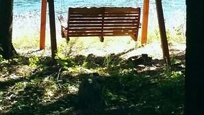 Un conjunto de columpios de madera en zona boscosa, con vista a un cuerpo de agua.