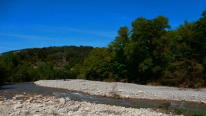 Un río con lecho rocoso, rodeado de árboles verdes y un cielo azul despejado.