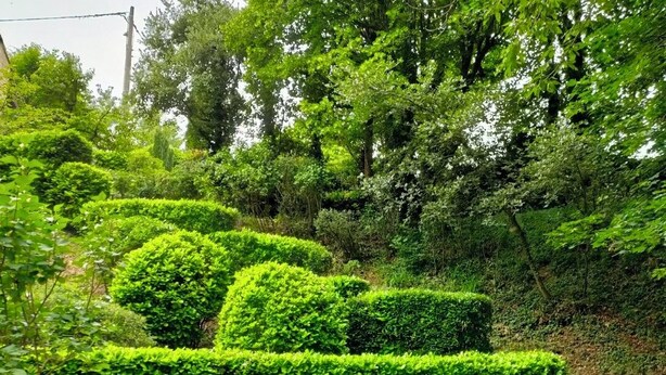 Un jardín bien cuidado con setos ordenados y diversas especies de árboles.