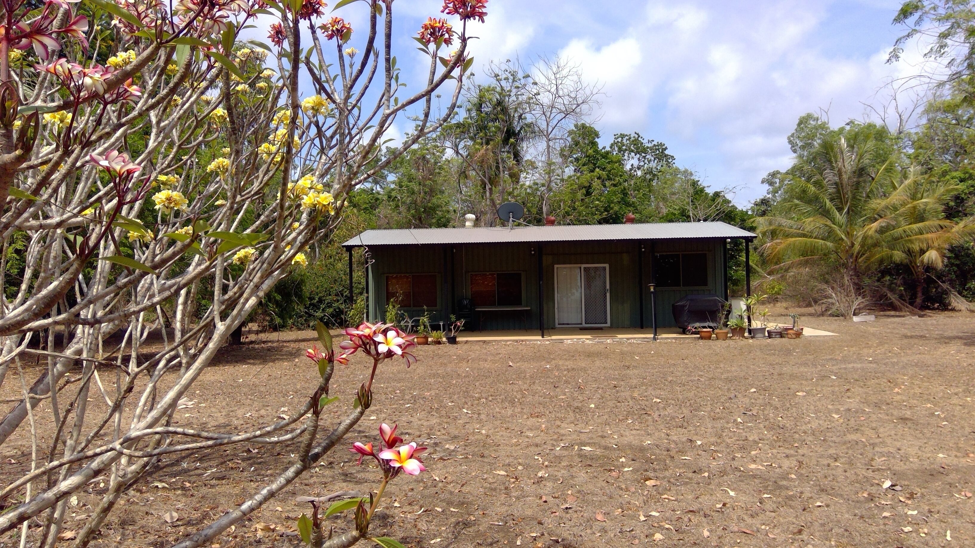THE BEACH SHACK on the waterfront close to the Lodge of Dundee — image 4