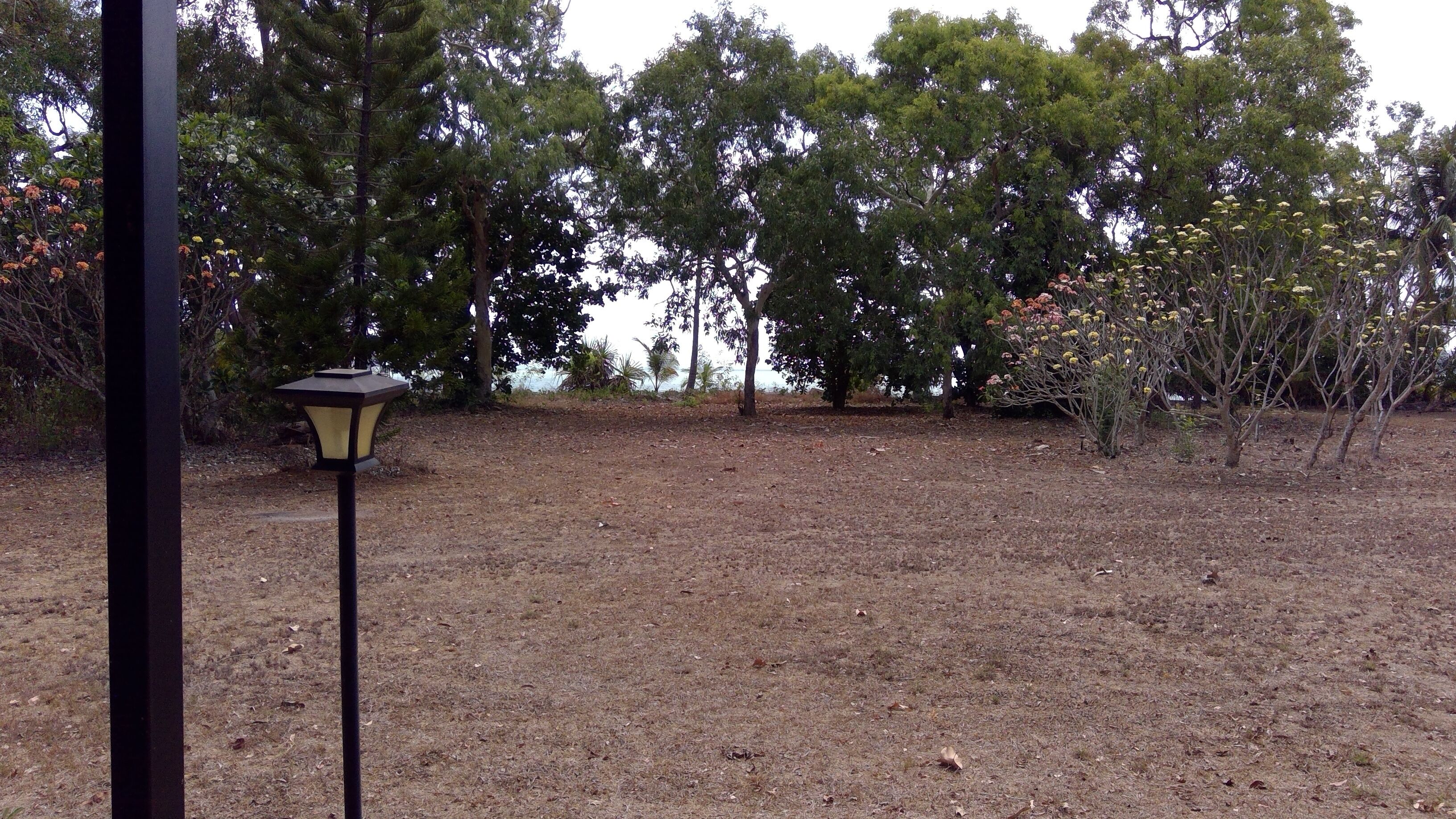 THE BEACH SHACK on the waterfront close to the Lodge of Dundee — image 22