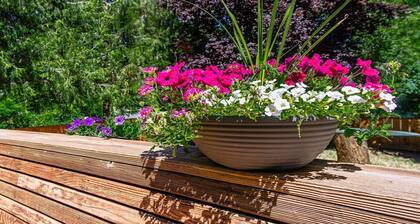 Madi's Place ~ Guest House