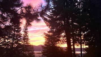A forested area with tall trees and a sunset in the background.