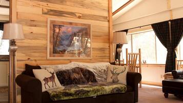 Télévision, lecteur de DVD, baby-foot, livres