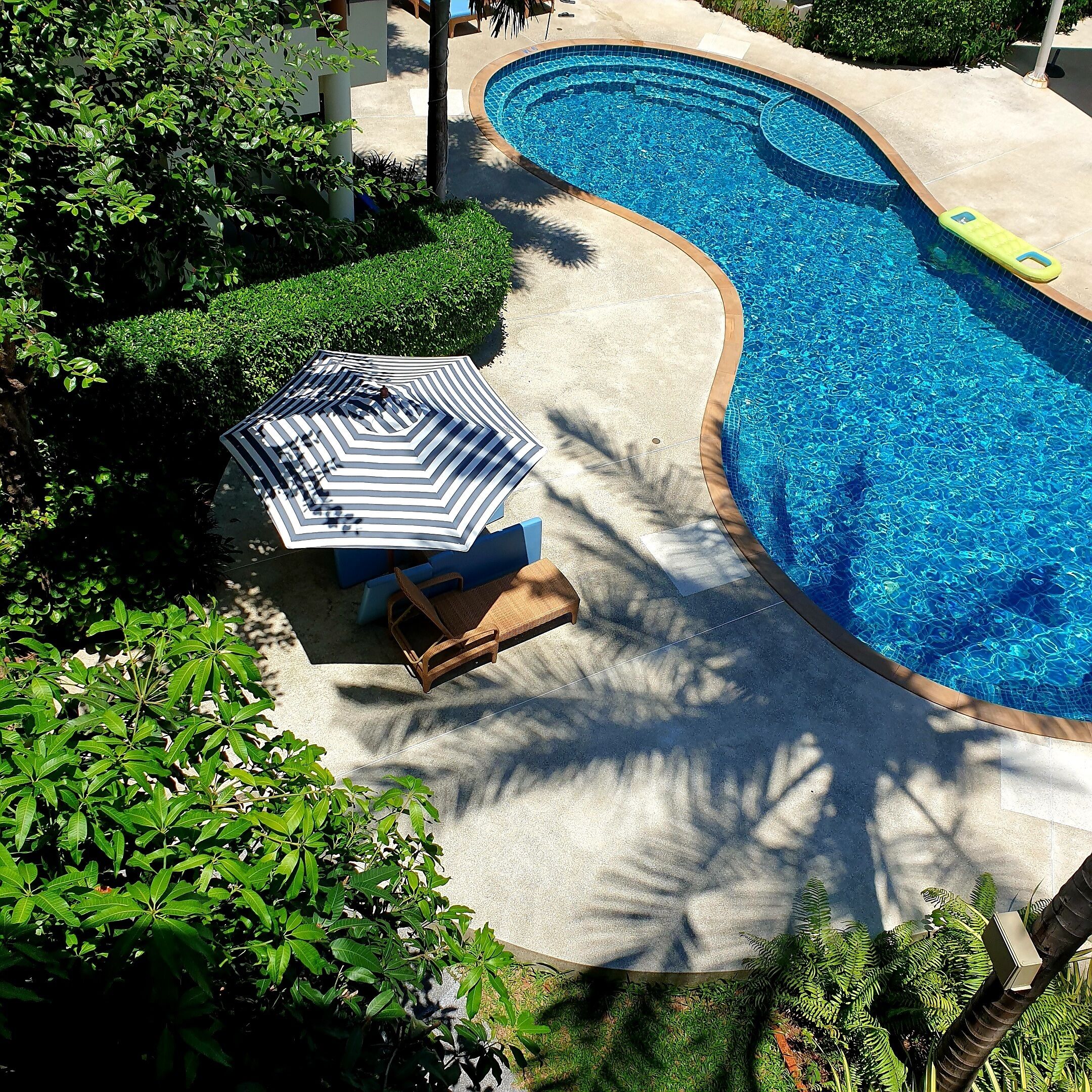 Une piscine à bord incurvé, entourée d’une terrasse en béton et d’une végétation luxuriante.