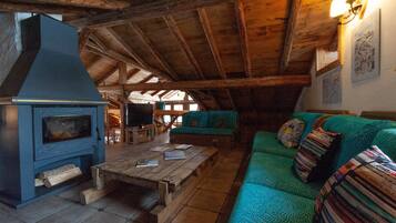 Télévision, cheminée, lecteur de DVD, vidéothÚque