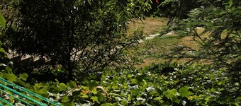 Grandma's House: Riverfront, Gorgeous View, Beach/Swimming/Canoeing Dog Friendly