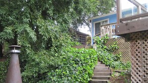 A staircase surrounded by lush greenery, leading to a building with a blue exterior. - Grandma's House: Riverfront, Gorgeous View, Beach/Swimming/Canoeing Dog Friendly (Monte Rio)