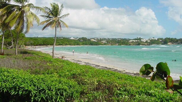 Een strand met palmbomen, helder turquoise water en een verre kustlijn met gebouwen.