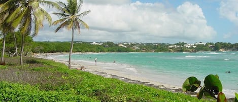 Playa en los alrededores y toallas de playa 