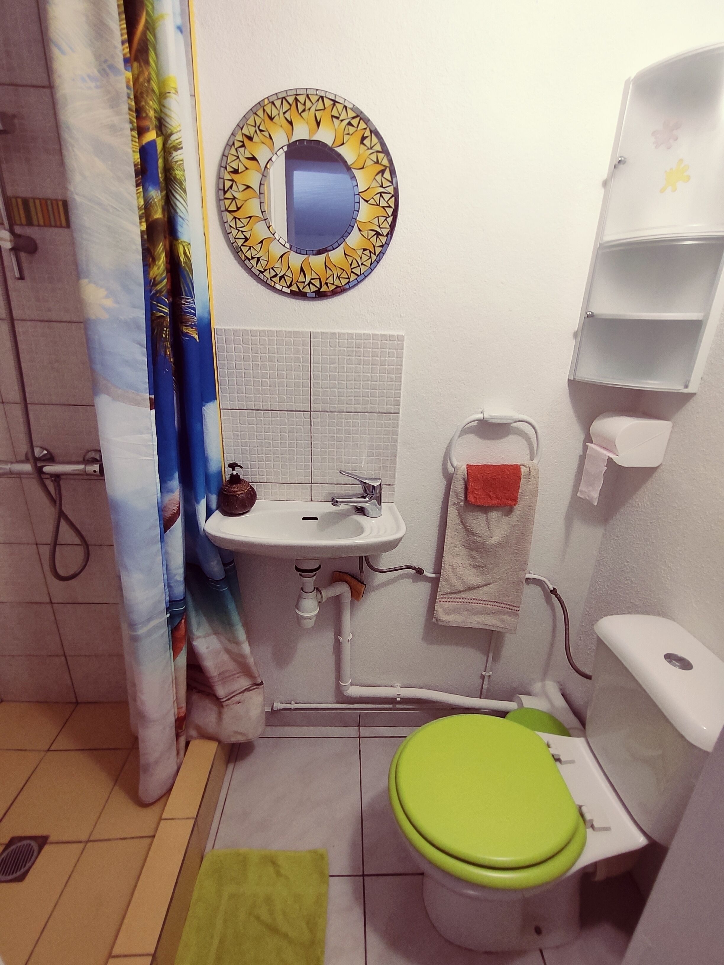 A bathroom with a toilet, sink, and shower curtain.
