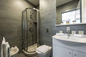 Shower, hair dryer, bidet, towels
