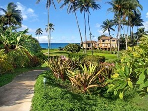 Property grounds - LOCATION! LOCATION! LOCATION! Extra Special Rate 
1/7/26 - 1/13,  1,795 per nite (Koloa)