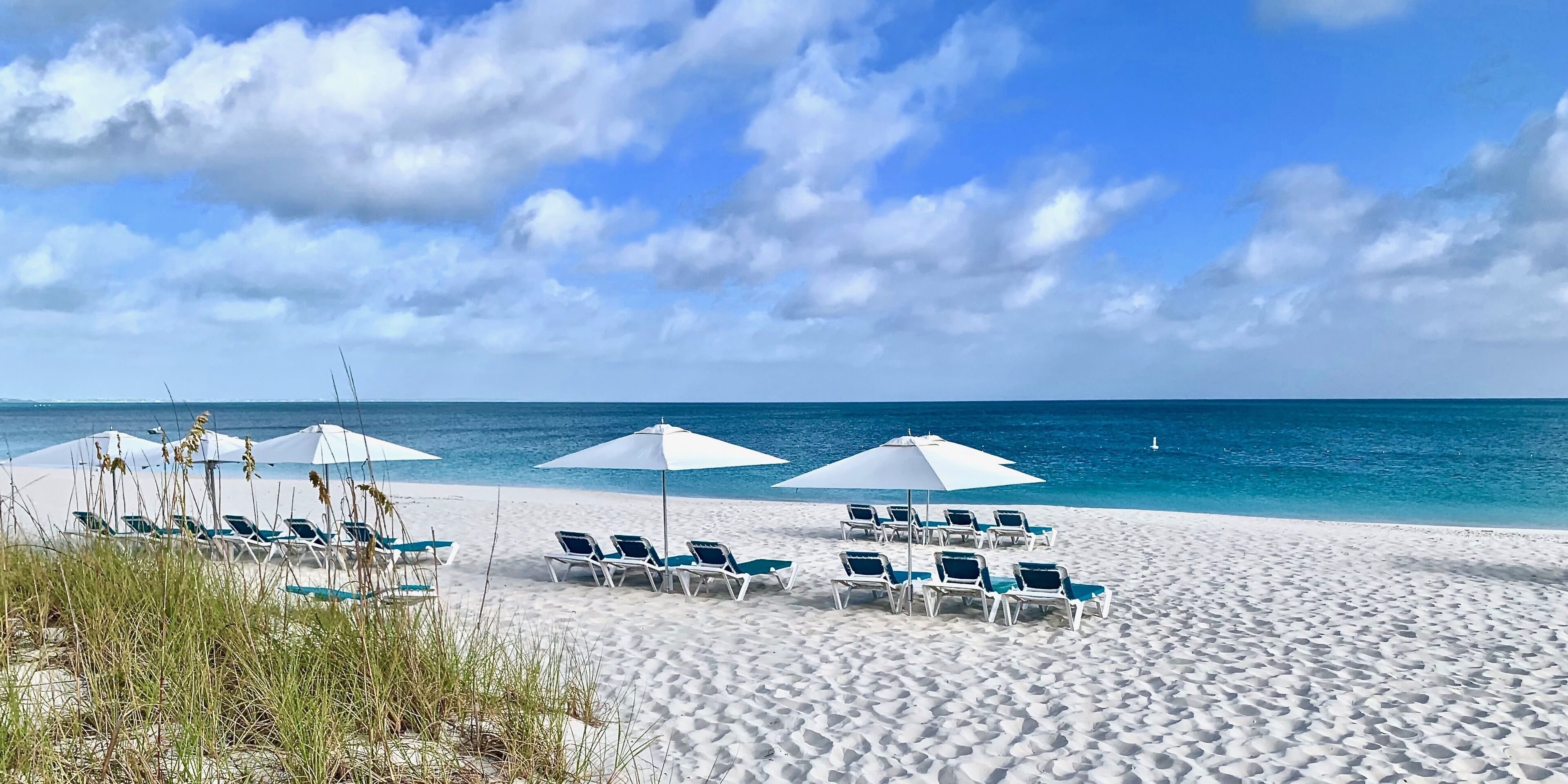 Una spiaggia con ombrelloni bianchi e lettini blu disposti sulla sabbia.