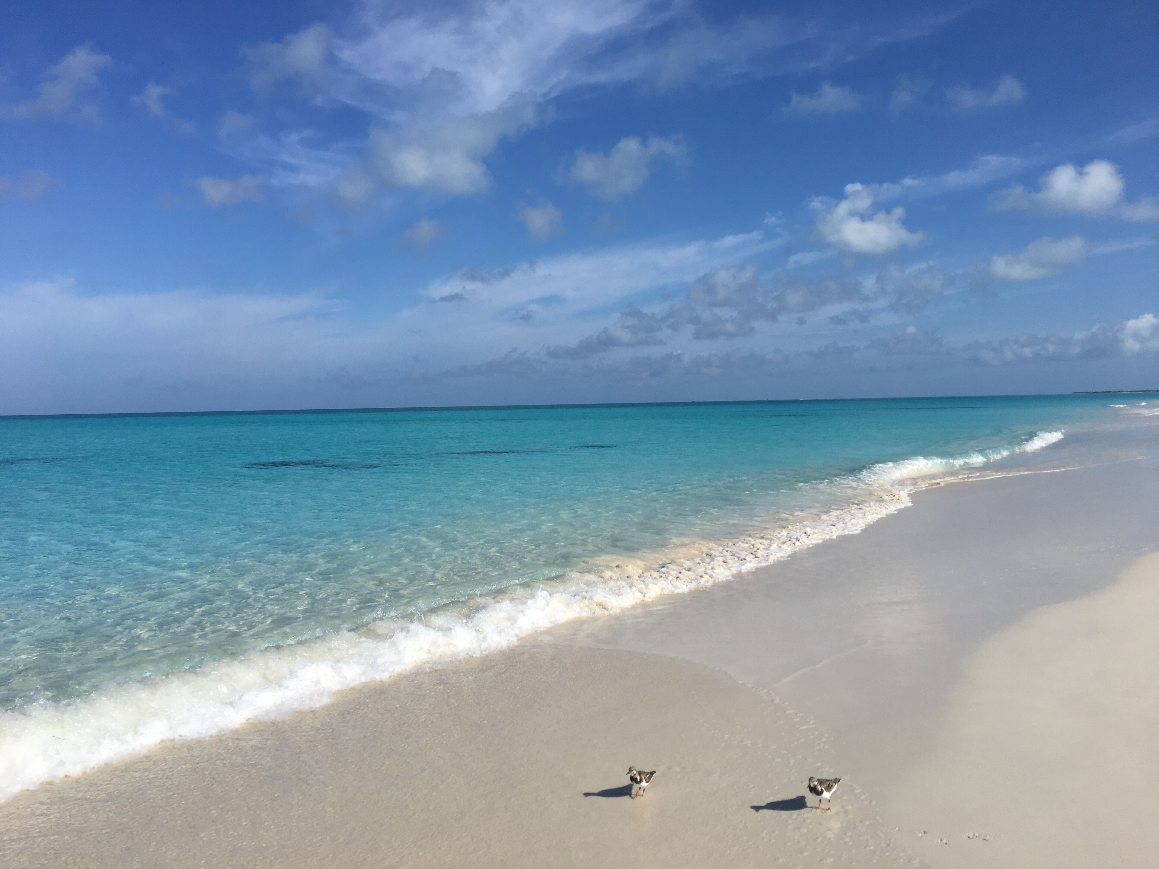 A beach with clear turquoise water and a sandy shore.