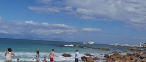 Playa en los alrededores, camastros y toallas de playa