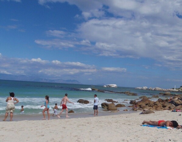 Plage à proximité, chaises longues, serviettes de plage