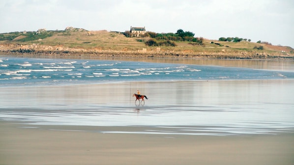 On the beach