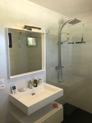 Shower, hair dryer, soap, toilet paper