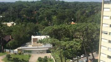 Panoramic Apartment, 1 King Bed, Accessible, Ocean View | City view