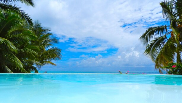 A clear blue pool surrounded by palm trees and a view of the ocean.