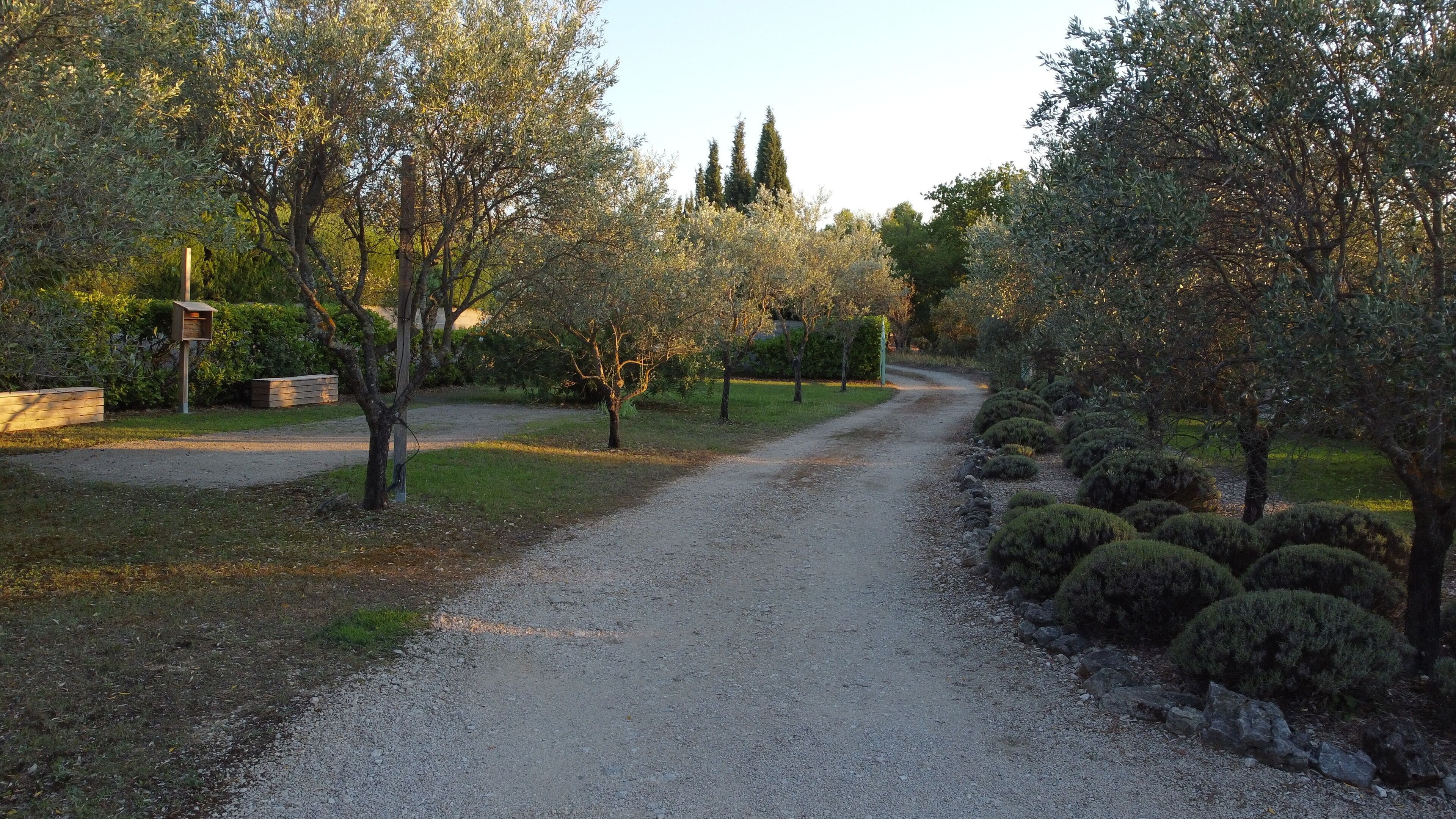 A gravel path flanked by neatly trimmed bushes and trees, leading towards a building with a wooden signboard.