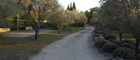 A gravel path flanked by neatly trimmed bushes and trees, leading towards a building with a wooden signboard.