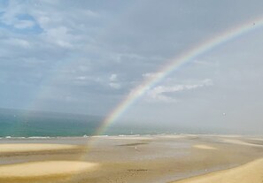 En la playa y camastros 