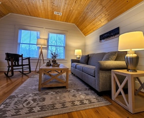TV, fireplace, books - Awesome Home at Sky Hawk Ridge, a 185-Acre Refuge, ONE MILE to Buffalo River (St Joe)