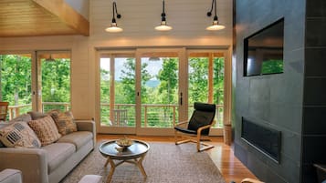 Télévision, cheminée, livres