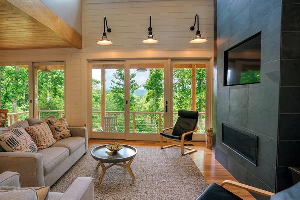 Televisor, llar de foc i llibres