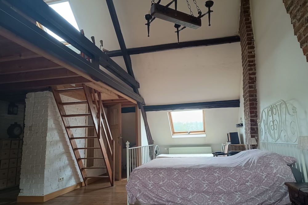 La maison des chiens