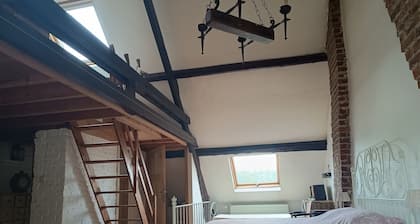 La maison des chiens