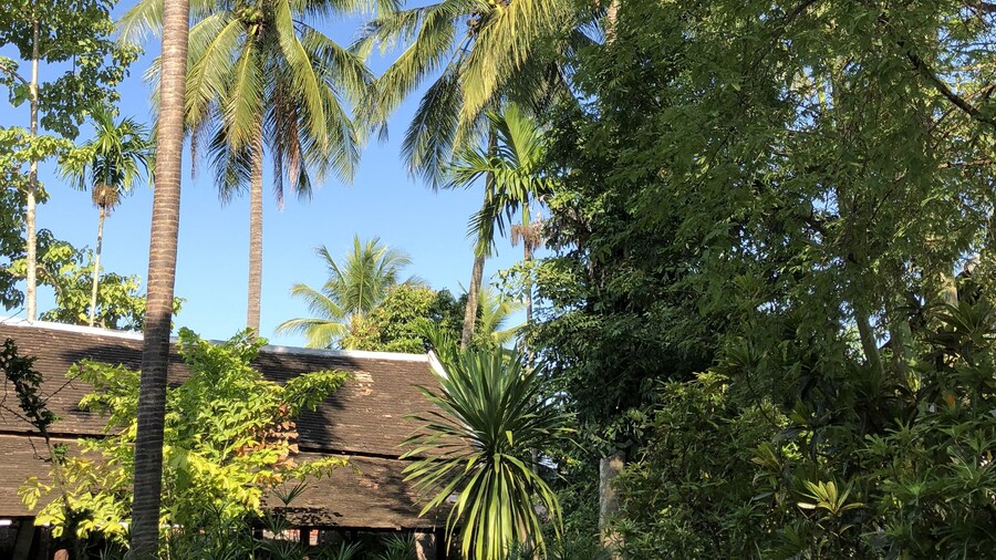 Maison Houng Chanh - Luang prabang
