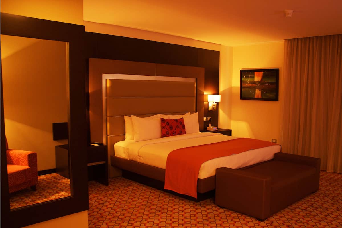 Premium Single Room, 1 King Bed, Non Smoking | Floor plan