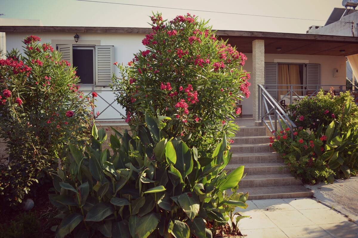 A building with a staircase leading to a porch, surrounded by lush green plants and flowering bushes.