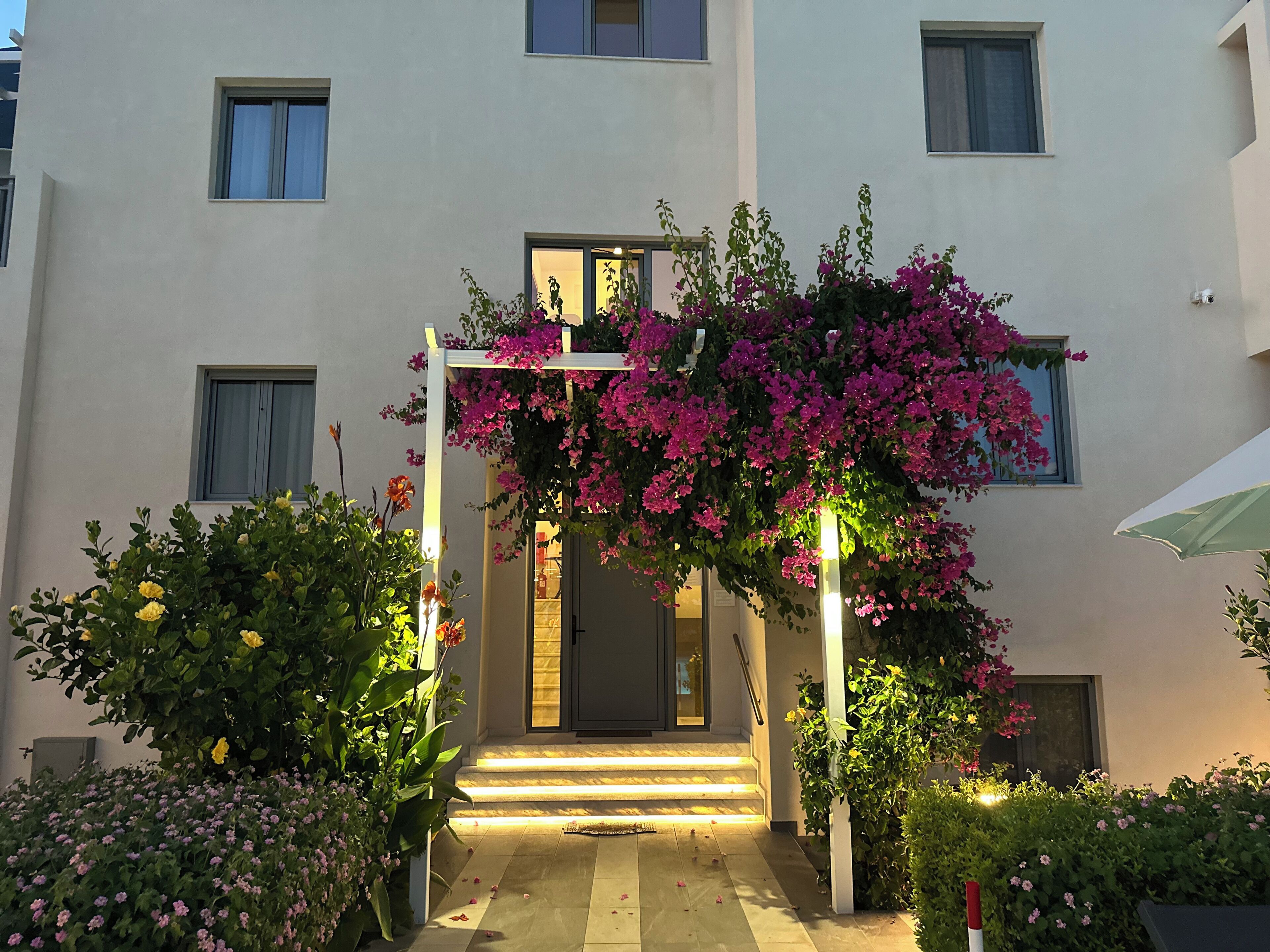 A building entrance with a white archway, steps leading up to the door, and surrounding greenery.