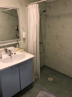 Regadera en el baño