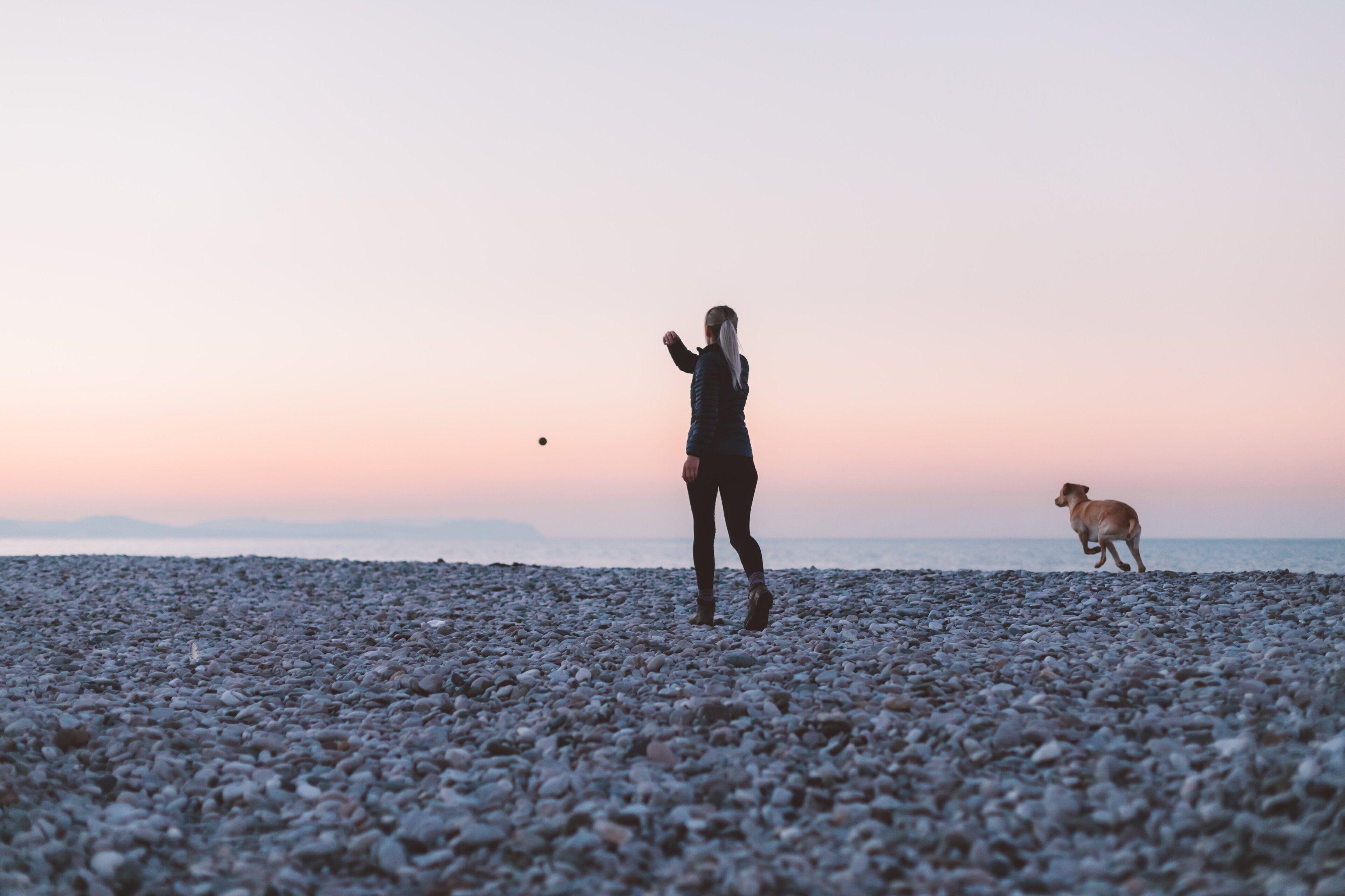 Eine Person steht mit einem Hund auf einem Kiesstrand und blickt bei Sonnenuntergang aufs Meer.