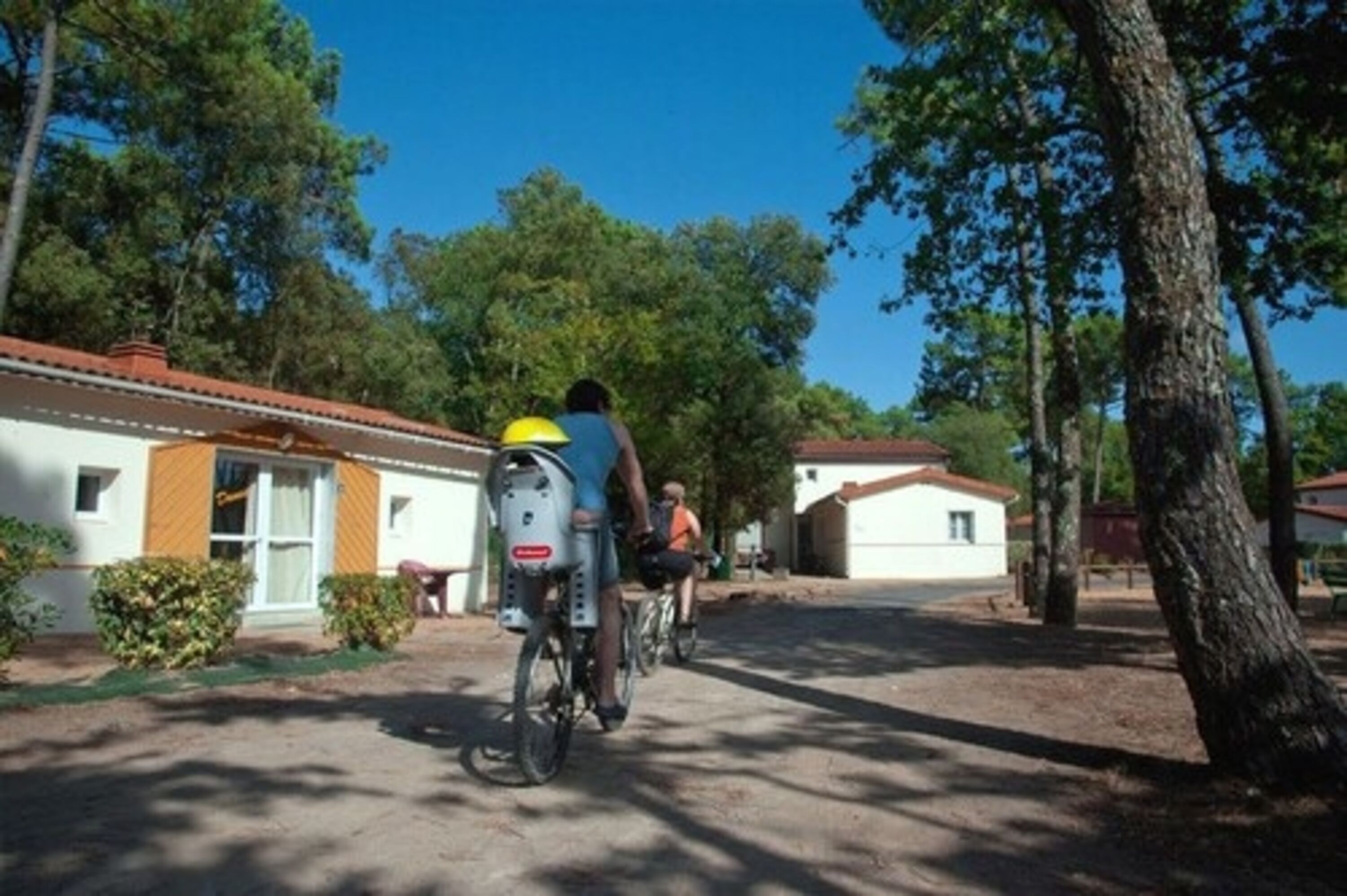 Una calle residencial con casas, bicicletas y árboles.