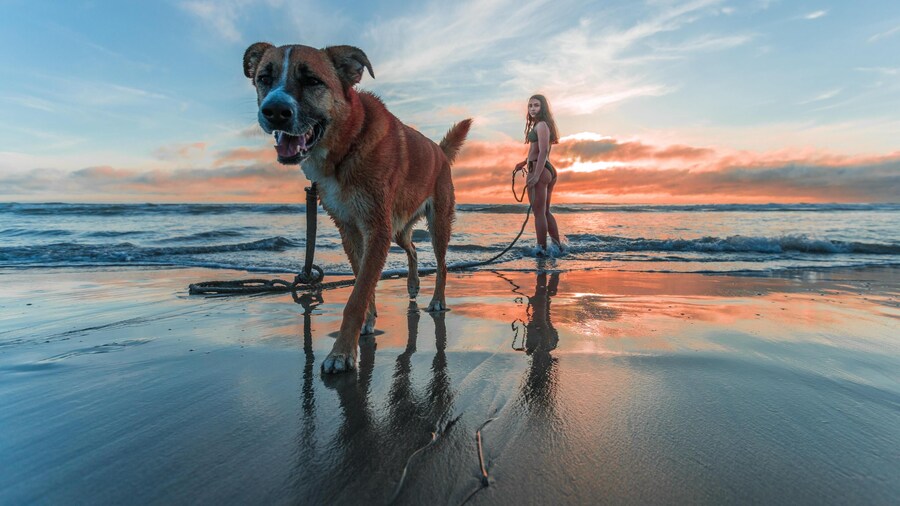 Azureva Longeville-sur-Mer