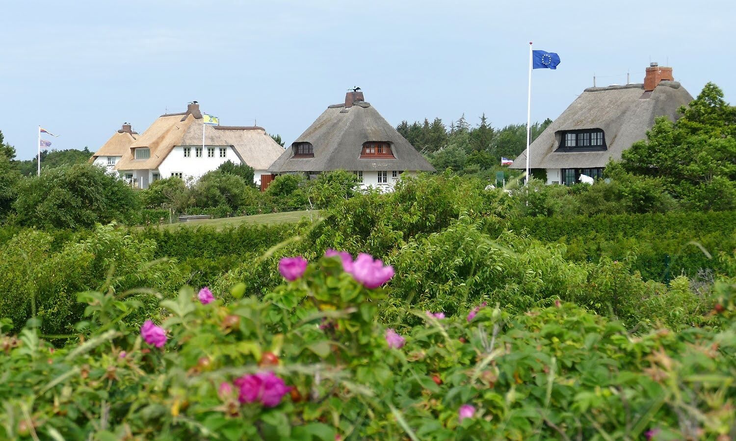 Blick auf die Umgebung