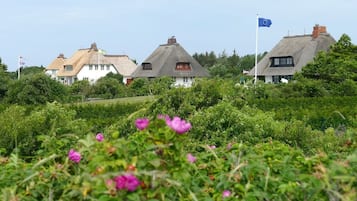 Land view from property