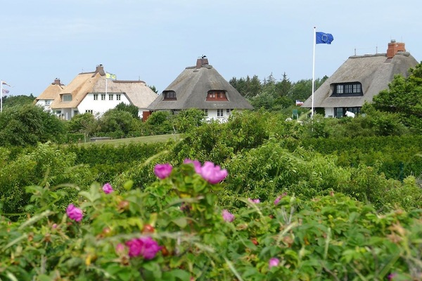 Land view from property