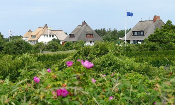 Land view from property