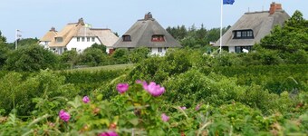 Friesenhof - Nieblum auf Föhr