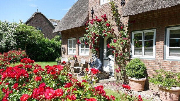 A brick house with a thatched roof, a garden with red roses, and a statue of a man in uniform. - Friesenhof - Nieblum auf Föhr (Nieblum)