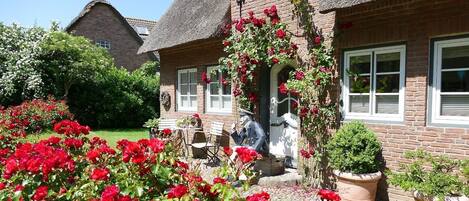 City view from property