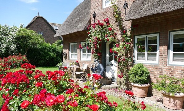 Vistas a la ciudad desde el alojamiento