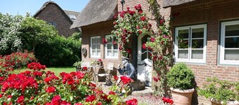 Friesenhof - Nieblum auf Föhr